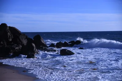 DSC_0545 (Large).JPG